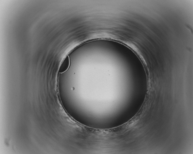 X0000103310815200809051543