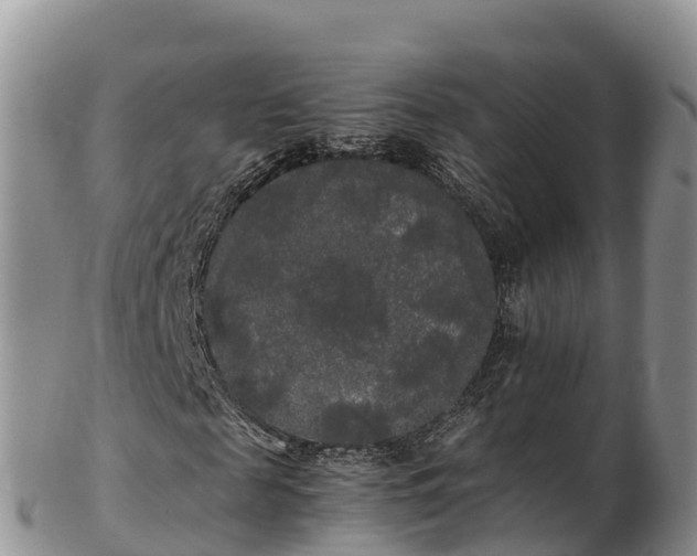 X0000103310817200809051542