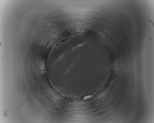 X0000103310818200809051542