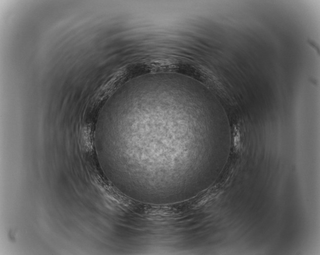 X0000103310819200809051542