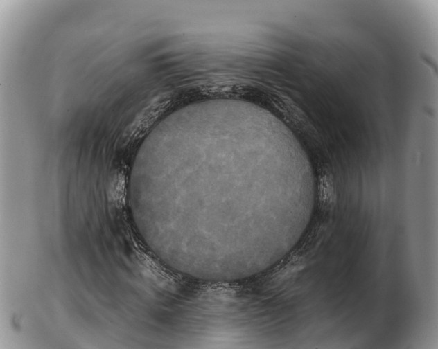 X0000103310820200809051542