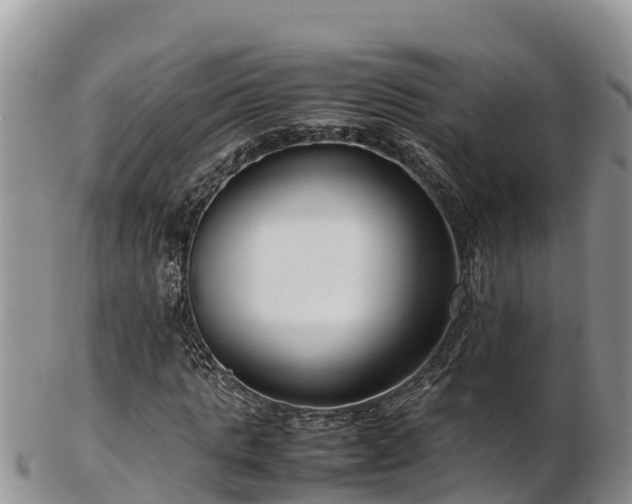 X0000103310821200809051542