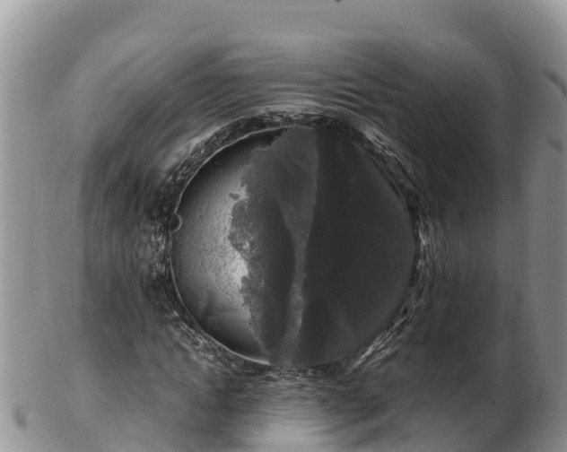 X0000103310822200809051542