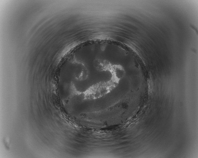X0000103310823200809051542