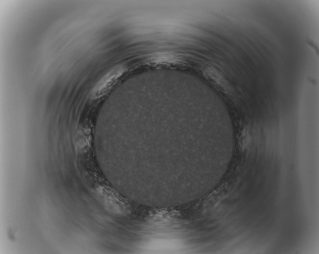 X0000103310824200809051542