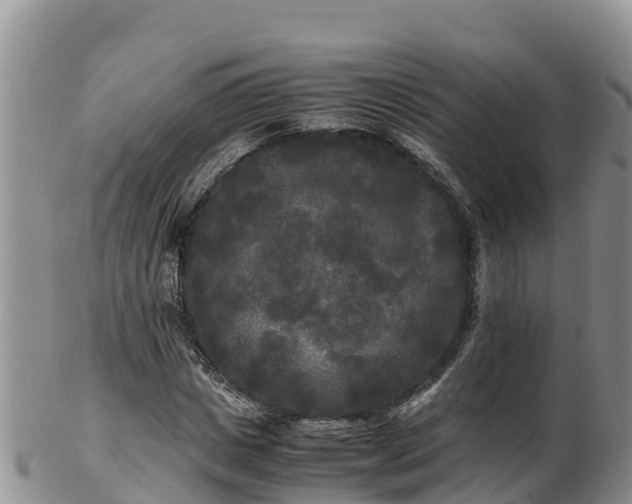 X0000103310825200809051542