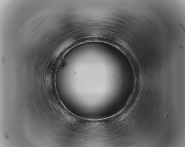 X0000103310826200809051542