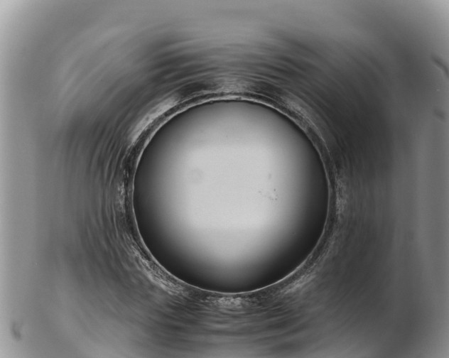X0000103310827200809051542