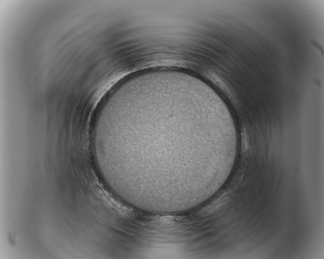 X0000103310828200809051542