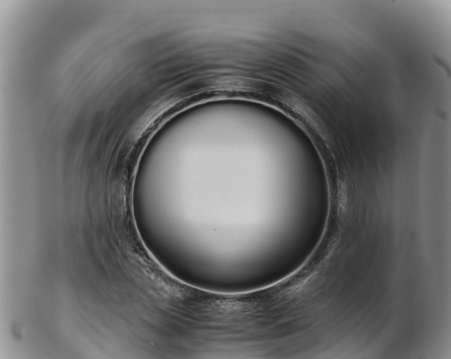 X0000103310829200809051543