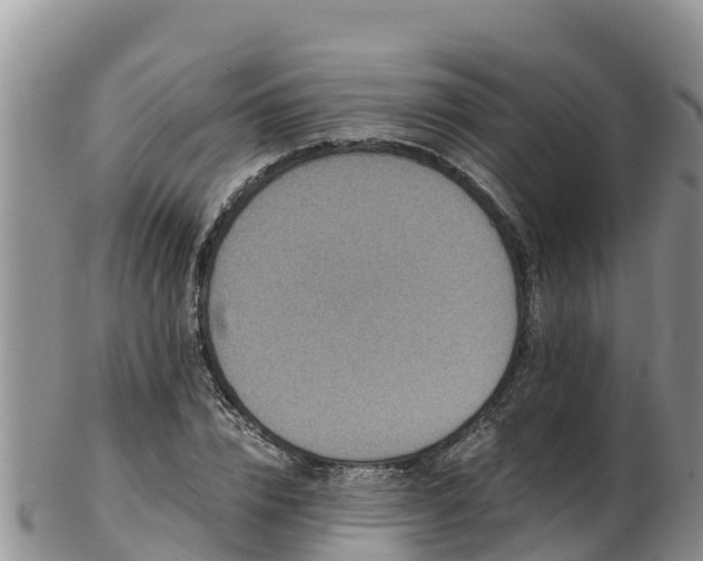 X0000103310832200809051543