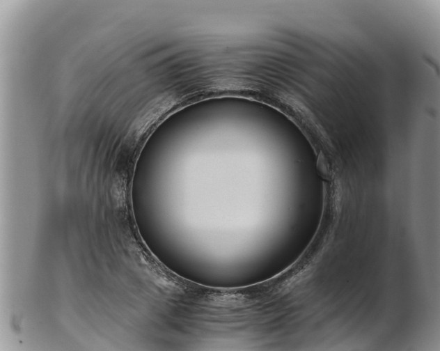 X0000103310833200809051543