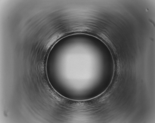 X0000103310834200809051543
