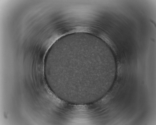 X0000103310836200809051543