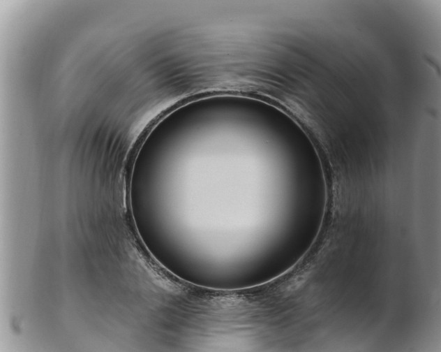 X0000103310838200809051543