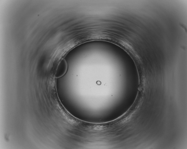 X0000103310841200809051543