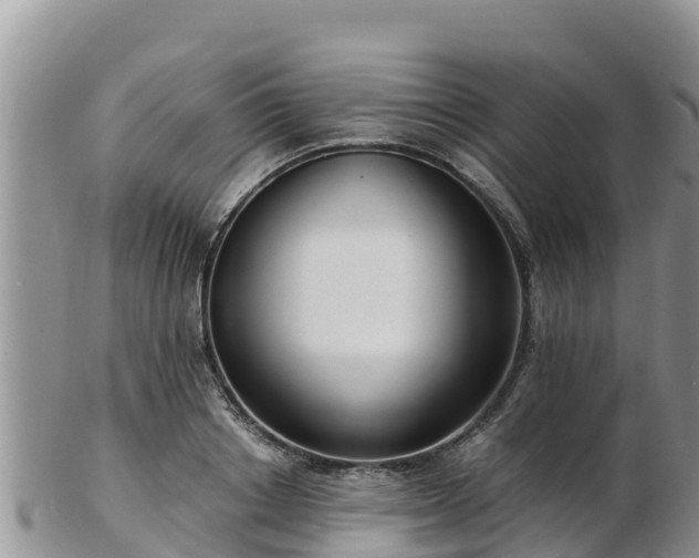 X0000103310842200809051543