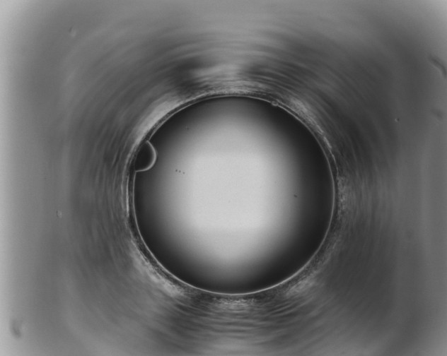 X0000103310843200809051543