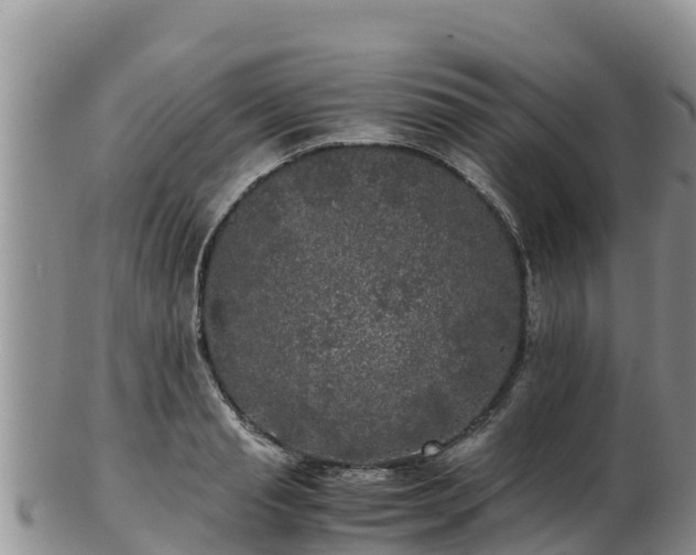 X0000103310845200809051543