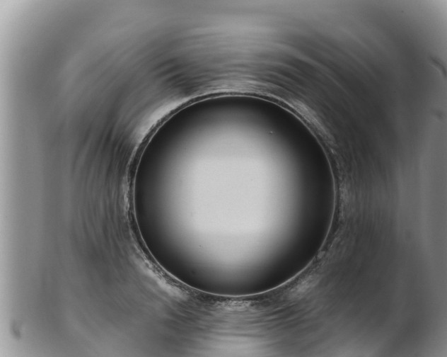 X0000103310846200809051543