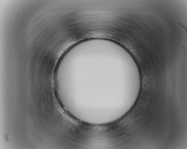 X0000103310848200809051543