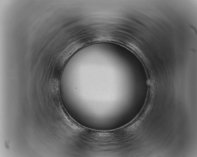 X0000103310849200809051543