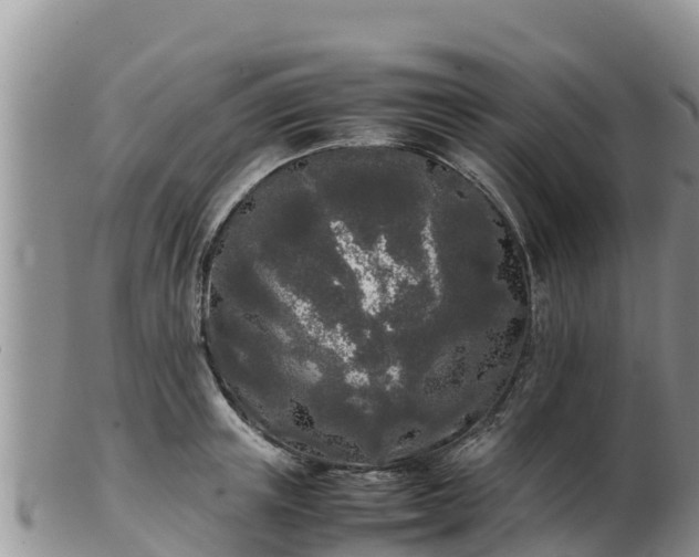 X0000103310851200809051543