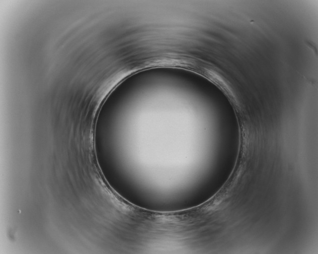 X0000103310852200809051543