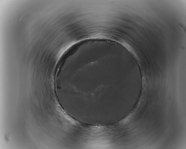 X0000103310854200809051543