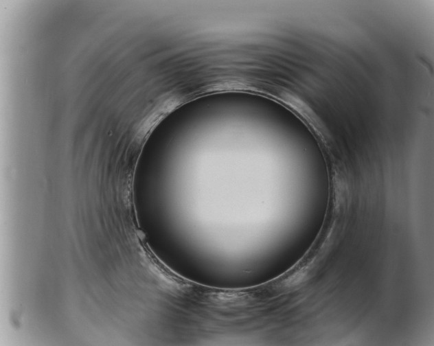 X0000103310857200809051543