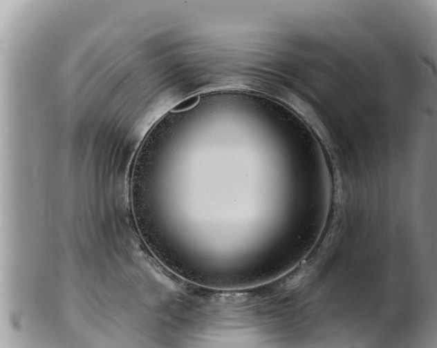 X0000103310858200809051543