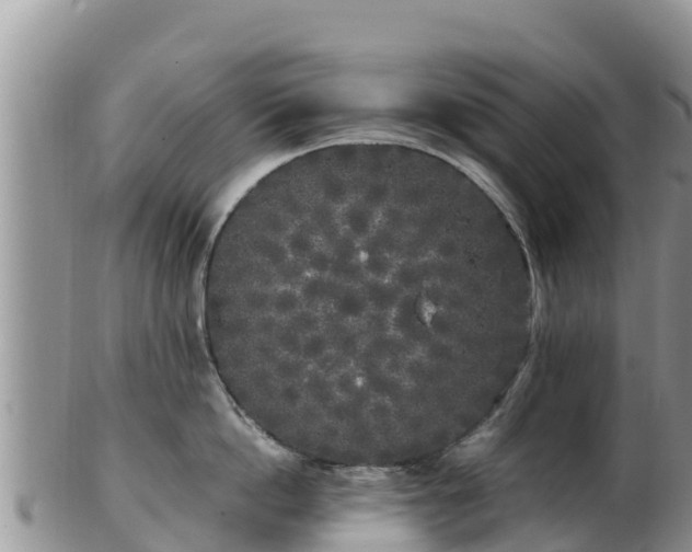 X0000103310862200809051543