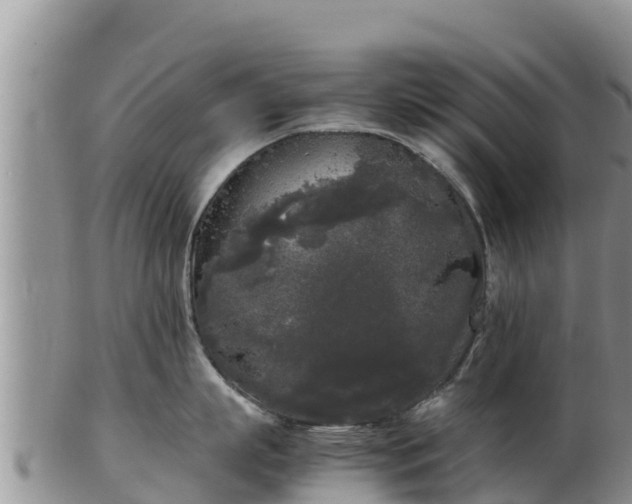 X0000103310863200809051543