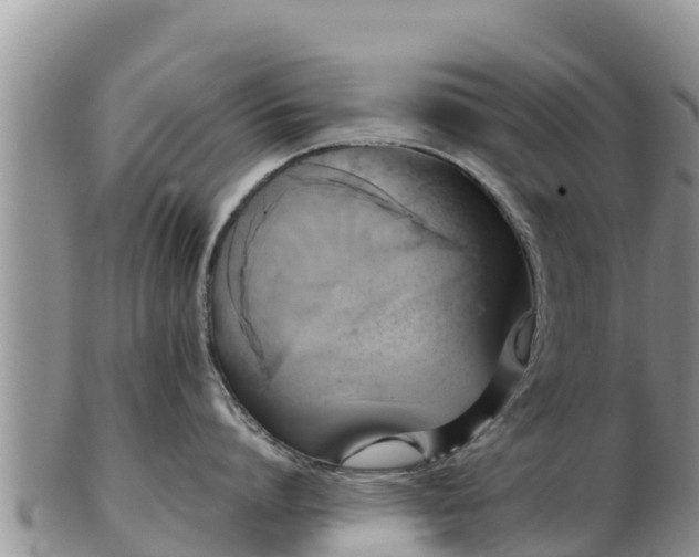 X0000103310864200809051543