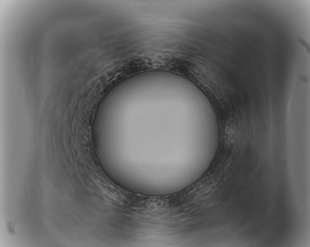 X0000103310865200809051542