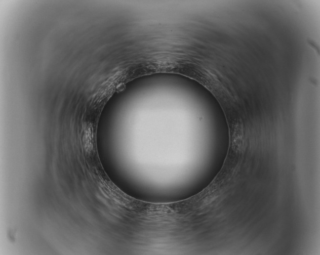 X0000103310866200809051542