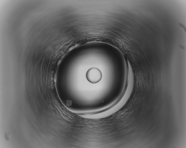X0000103310868200809051542