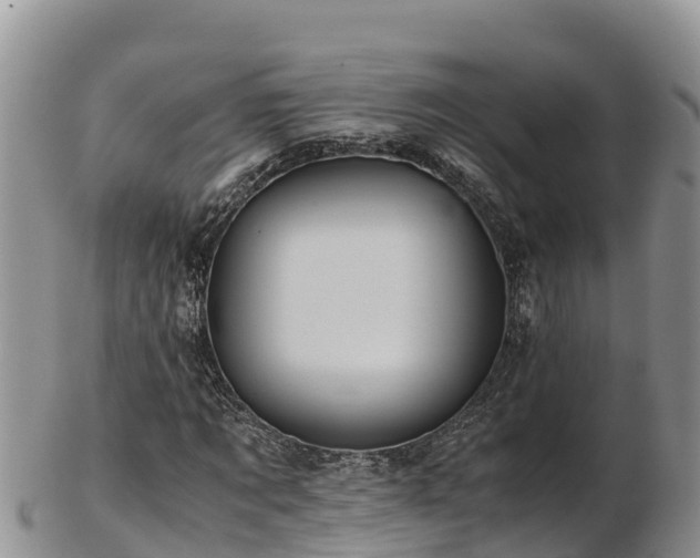 X0000103310869200809051542
