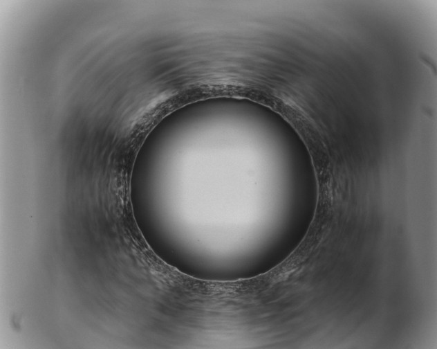 X0000103310870200809051542