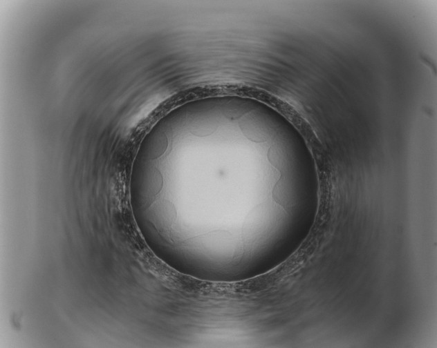 X0000103310871200809051542