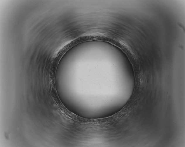 X0000103310872200809051542