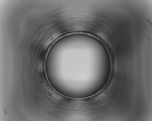 X0000103310873200809051542