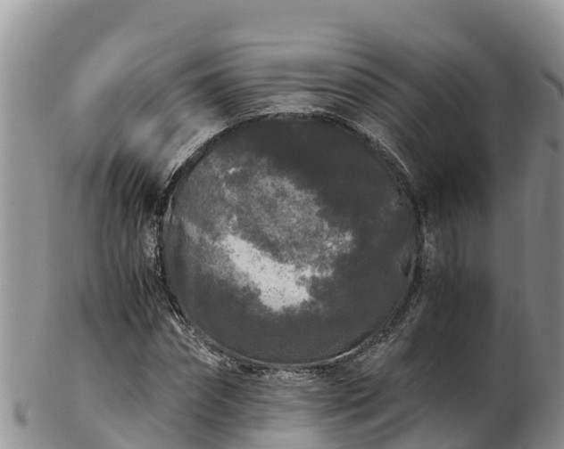 X0000103310874200809051542