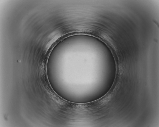 X0000103310875200809051542