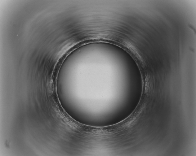 X0000103310876200809051542