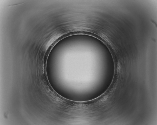 X0000103310877200809051542