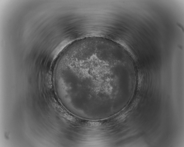 X0000103310878200809051542