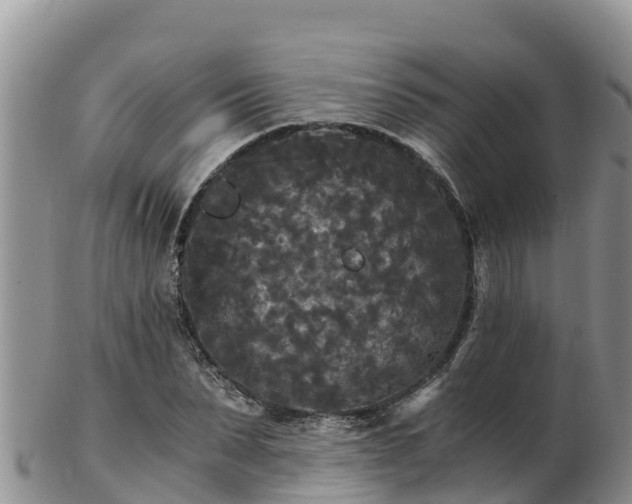 X0000103310879200809051542