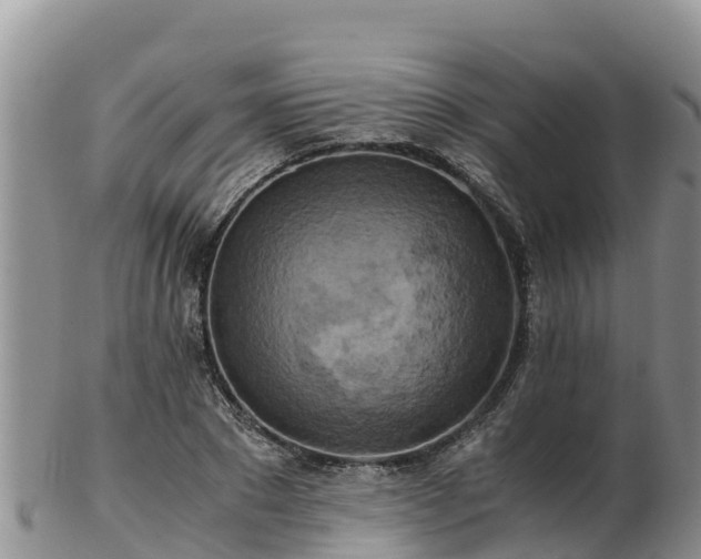 X0000103310881200809051542