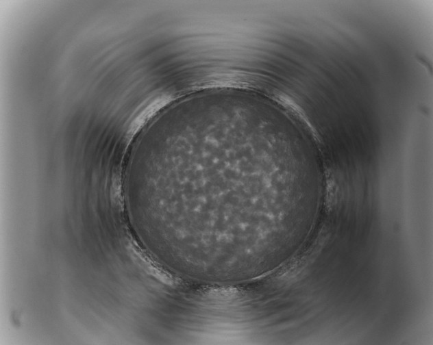 X0000103310882200809051542
